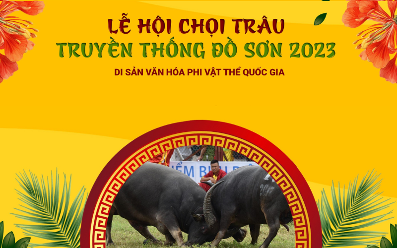 choi trau do son hai phong 2023