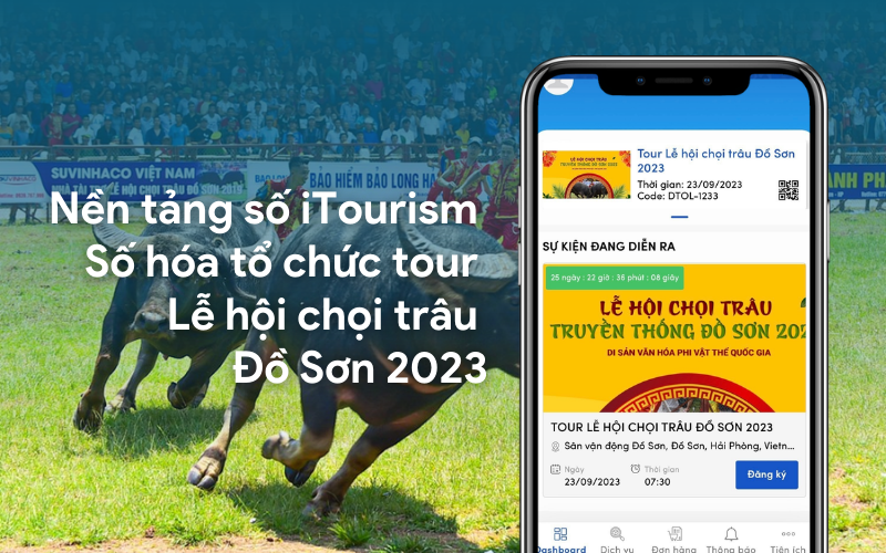 choi trau do son hai phong 2023