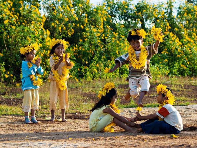 10 most beautiful flower fields in Central Vietnam attract tourists