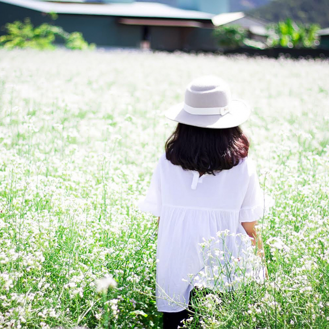 10 most beautiful flower fields in Central Vietnam attract tourists